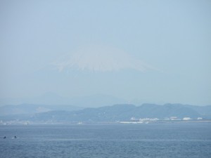 江ノ島から見た富士山　2013年4月29日