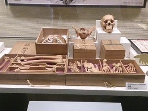 東京上野国立科学博物館　木骨