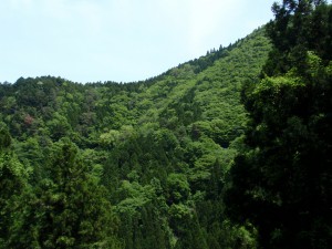 高野山　不動坂からの風景