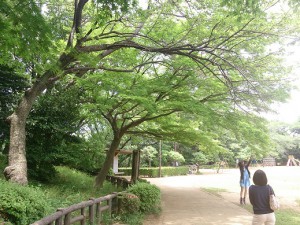 多摩川台公園 (7)